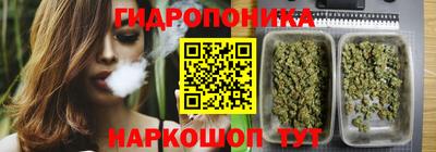 стафф Тула